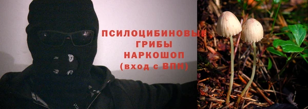 героин Алзамай
