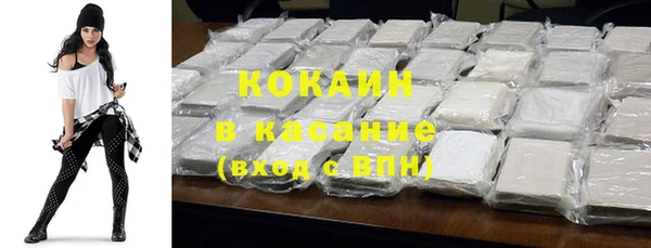 индика Абинск