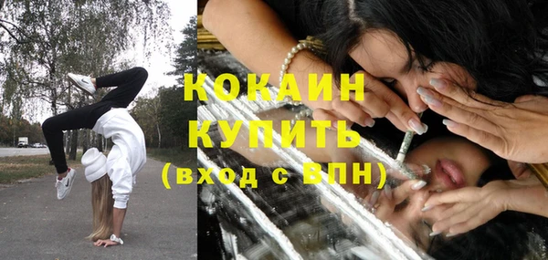 индика Абинск