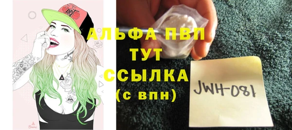 индика Абинск