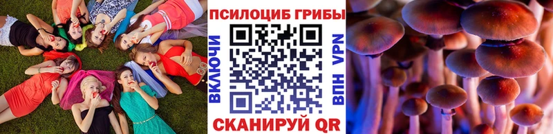 mega Чапаевск Псилоцибиновые грибы GOLDEN TEACHER наркошоп
