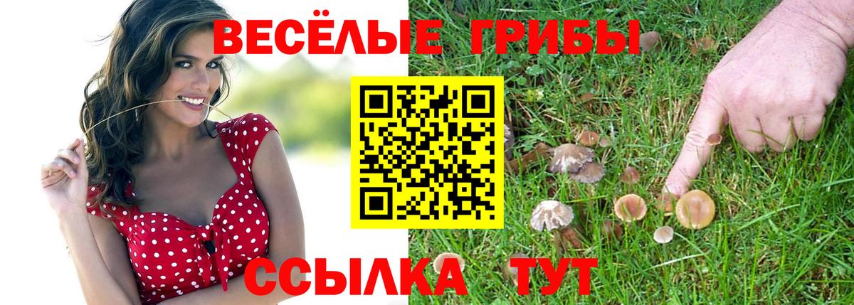 Чапаевск  Псилоцибиновые грибы GOLDEN TEACHER  Вход с VPN 