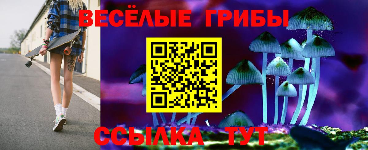 Псилоцибиновые грибы Psilocybine cubensis Чапаевск